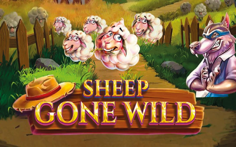 Wild rewards await in Dafabet Sheep.